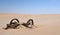 A wagon used by the diamond miners in the sand of the Namib Desert