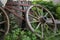 Wagon wheel or cart-wheel & wooden barrel