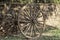 wagon wheel parking on grass with stone wall background