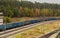 Wagons of a freight train on a railway siding in the forest .