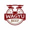 Wagyu Beef Japanese Meat Vector Images Design