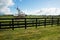 Waikato farmland expansive green fields beyond dark wooden fence and small tree