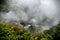 Waikite hot stream and terraces, volcanic valley