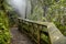 Waikite hot stream and terraces, volcanic valley