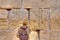 Wailing Wall Praying, Jerusalem Israel