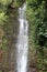 Wailua Falls with tropical foliage covering the cliffside surrounding the falls on Hana Highway, Hana, Maui