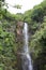 Wailua Falls tumbling over a volcanic rock cliffside in a rainforest in Hana, Maui, Hawaii