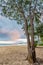 Waimanalo Beach, Rabbit Island and Ironwood Trees on Oahu, Hawaii