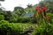 Waimea Arboretum and Botanical Garden, Oahu