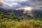 Waimea Canyon in Kauai, Hawaii Islands.