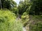 Waimea Falls Creek