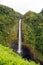 Waimoku Falls Maui Waterfalls vertical format