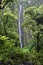 Waimoku Falls, Pipiwai trail, Kipahulu state park, Maui, Hawaii