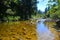 Wainui River, Abel Tasman National Park, Golden Bay, New Zealand