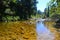 Wainui River, Abel Tasman National Park, Golden Bay, New Zealand