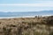 Waiotahe Beach, a popular beach holiday destination near Opotiki, Bay of Plenty