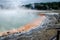 Waiotapu Thermal Wonderland, North New Zealand