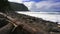 Waipio bay black sand beach with Driftwood in Big Island Hawaii