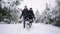 Waist up portrait of happy modern couple playing with cute Husky puppy outdoors in winter, focus on Asian man smiling at