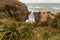 Waitakere Ranges coastline