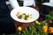 Waiter holding plate of gourmet shrimp salad