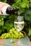 Waiter pouring a glass of ice cold white wine, outdoor terrace,