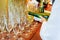 Waiter pouring personal serving Champagne in glasses. Catering service at events, corporate meeting, party, weddings. Selective fo