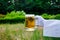 The waiter`s hand in a white glove holds a beer glass against the background of nature