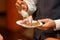 Waiter serves portions of food at a party