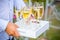 Waiter serving stylish golden champagne in glasses on tray.