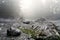 Waiting for the dense fog to lift at a rocky ocean beach on a moody summer day.