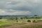 Waiting for storm. Rural New Zealand