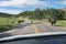 Waiting for wild bisons roaming on a highway in Custer State Park, Custer, South Dakota