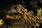 Waitomo caves