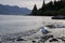 The Wakatipu lake seagull