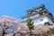 Wakayama Castle with sakura