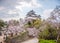 Wakayama Castle standing atop the hill with cherry blossoms in the foregound