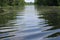 Wake following boat in the Bayou.