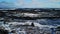 Waldidge fell snow covered moorland, farm land, landscape, sky chester le street, uk