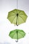 Wales, Caernarfon. Green umbrellas as decoration.