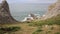 Wales Coast Mewslade Bay The Gower peninsula near to Rhossili beach with sheep