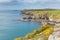 Wales Coast Path towards Caerfai from St Non`s Pembrokeshire UK