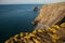 Wales coast path, Trefor.