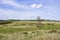 Wales countryside in spring,landscape uk.