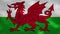 Wales dense flag fabric wavers, background loop