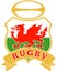Wales dragon rugby ball welsh
