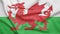 Wales flag with fabric texture