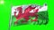 Wales flag seamless looping 3D rendering video. Beautiful textile cloth fabric loop waving