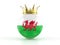 Wales flag soccer ball with crown