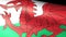 Wales Flag Waving